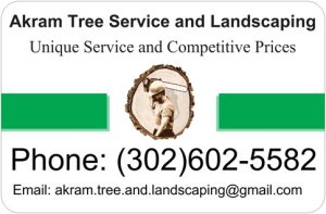 Akram Tree Service and Landscaping